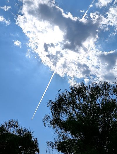 contrail
